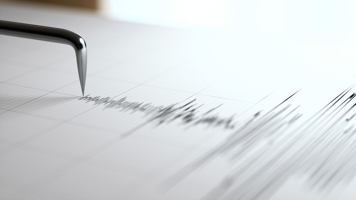 Seismometer printing information