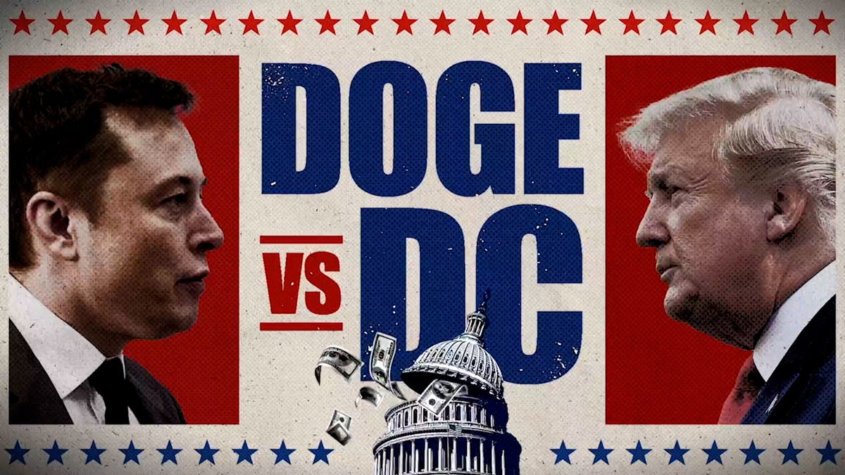 DOGE vs. DC