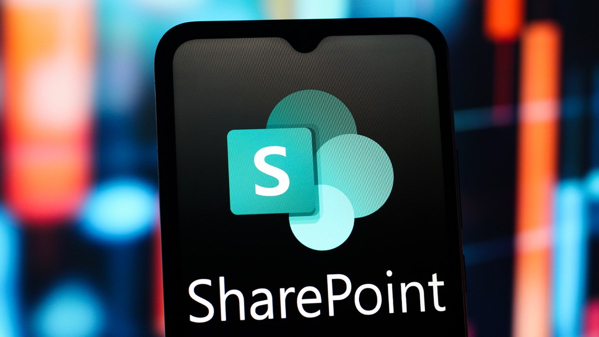 微软的SharePoint图像