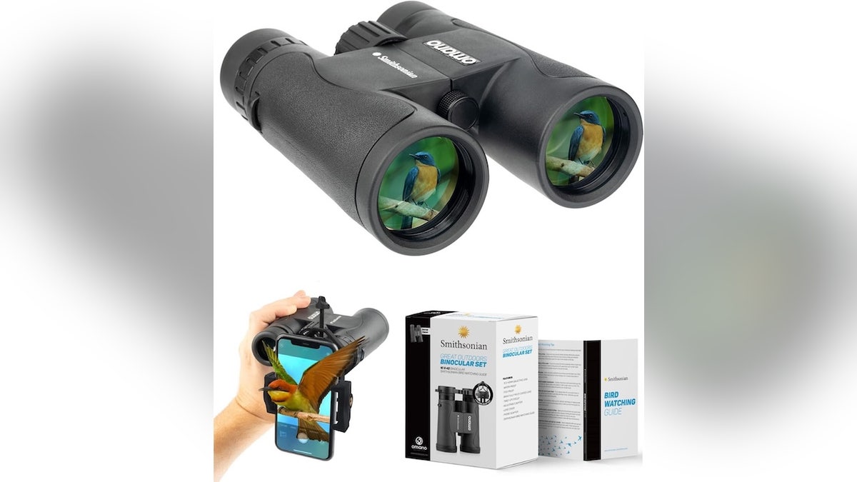 These binoculars deliver crisp views of distant bird activity.