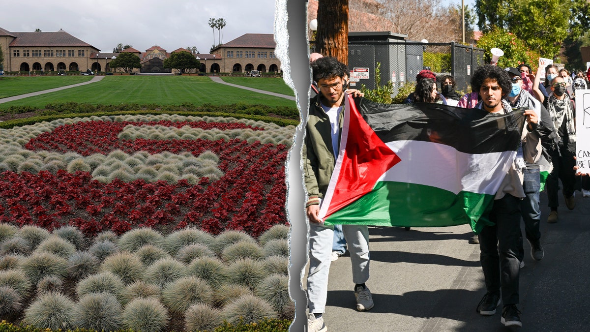 Stanford University campus and an anti-Israel protest that took place at the school.