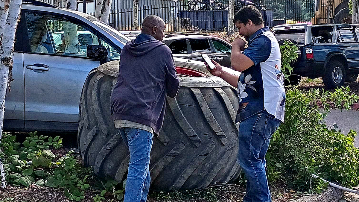 Tire size compared to human