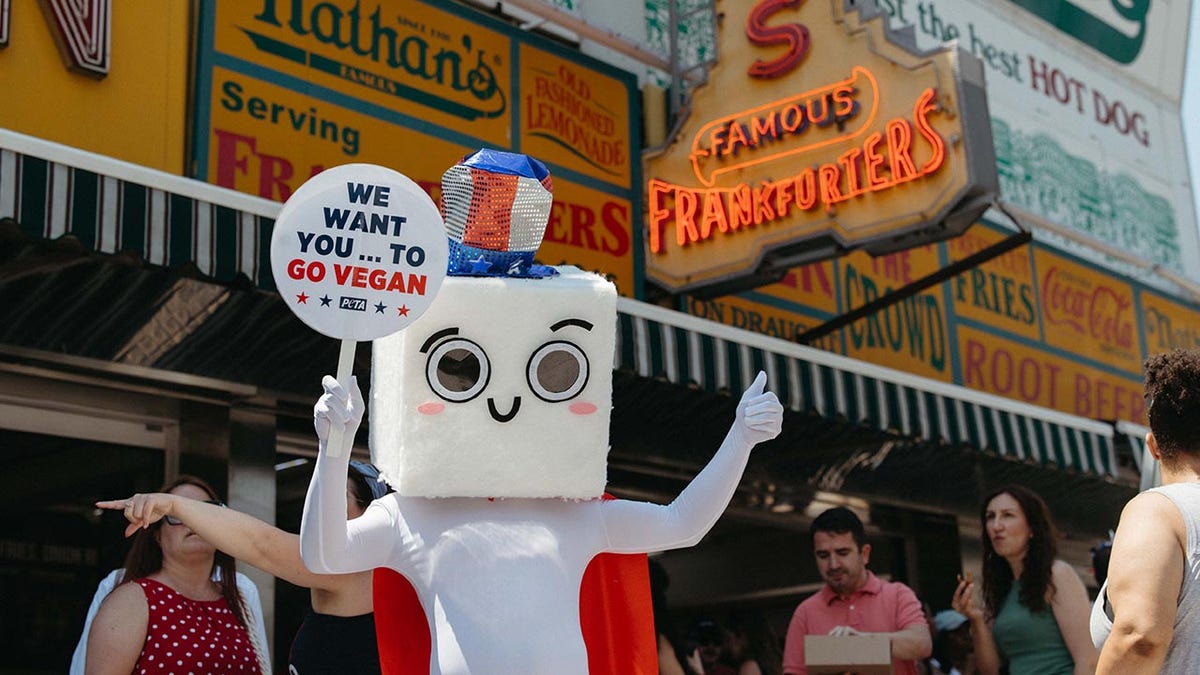 Tommy Tofu