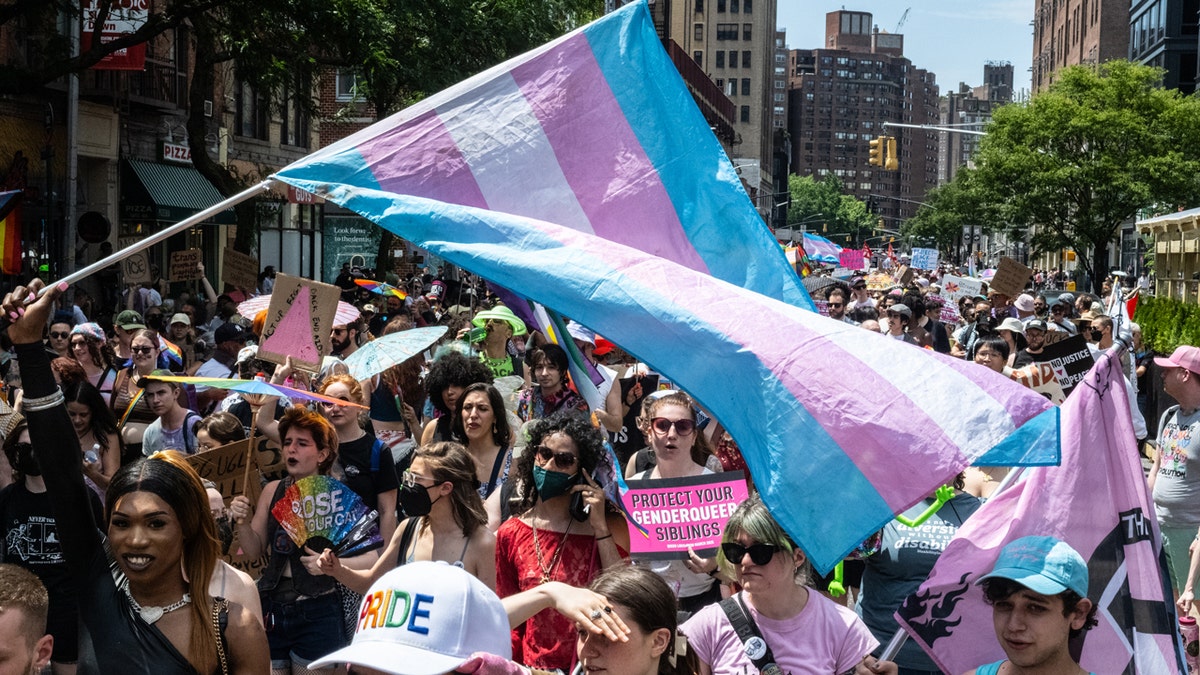 Transgender flag