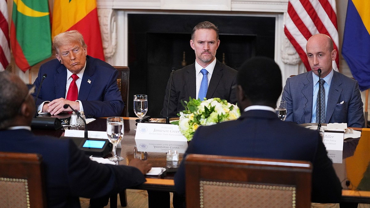 Trump in State Room listening to African leaders