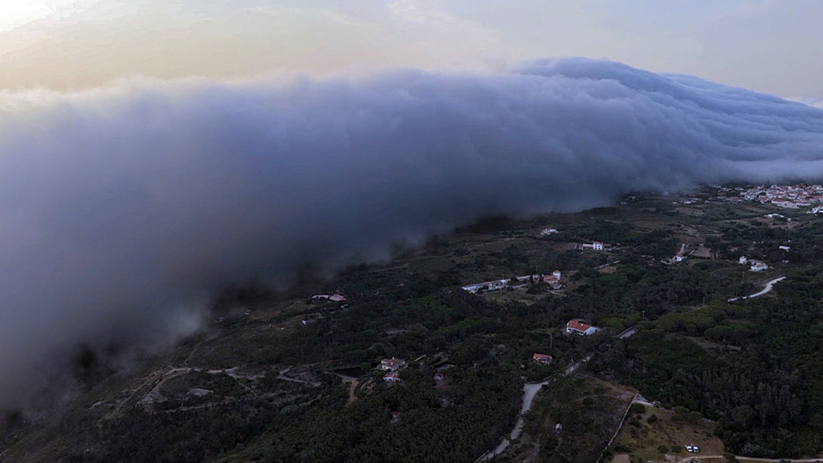 TSUNAMI ROLL CLOUD