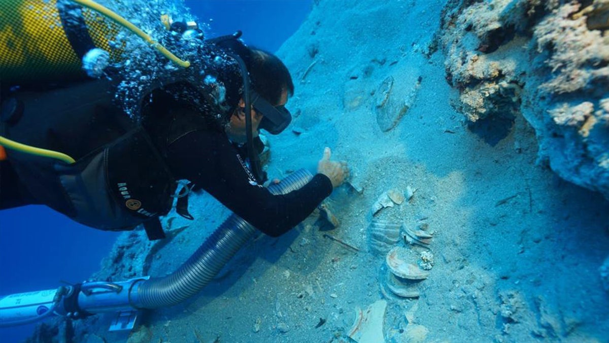 Diver looking astatine plates underwater