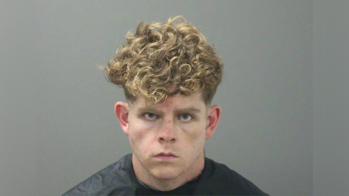 Andrew James McGann