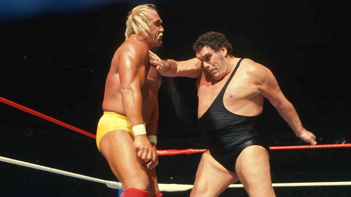 Hogan and Andre