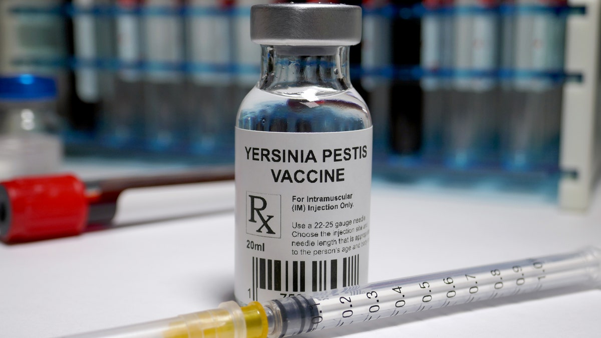 Yersinia pestis vaccine