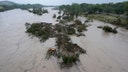 Texas family helps rescue woman clinging to tree after being swept 20 miles downriver