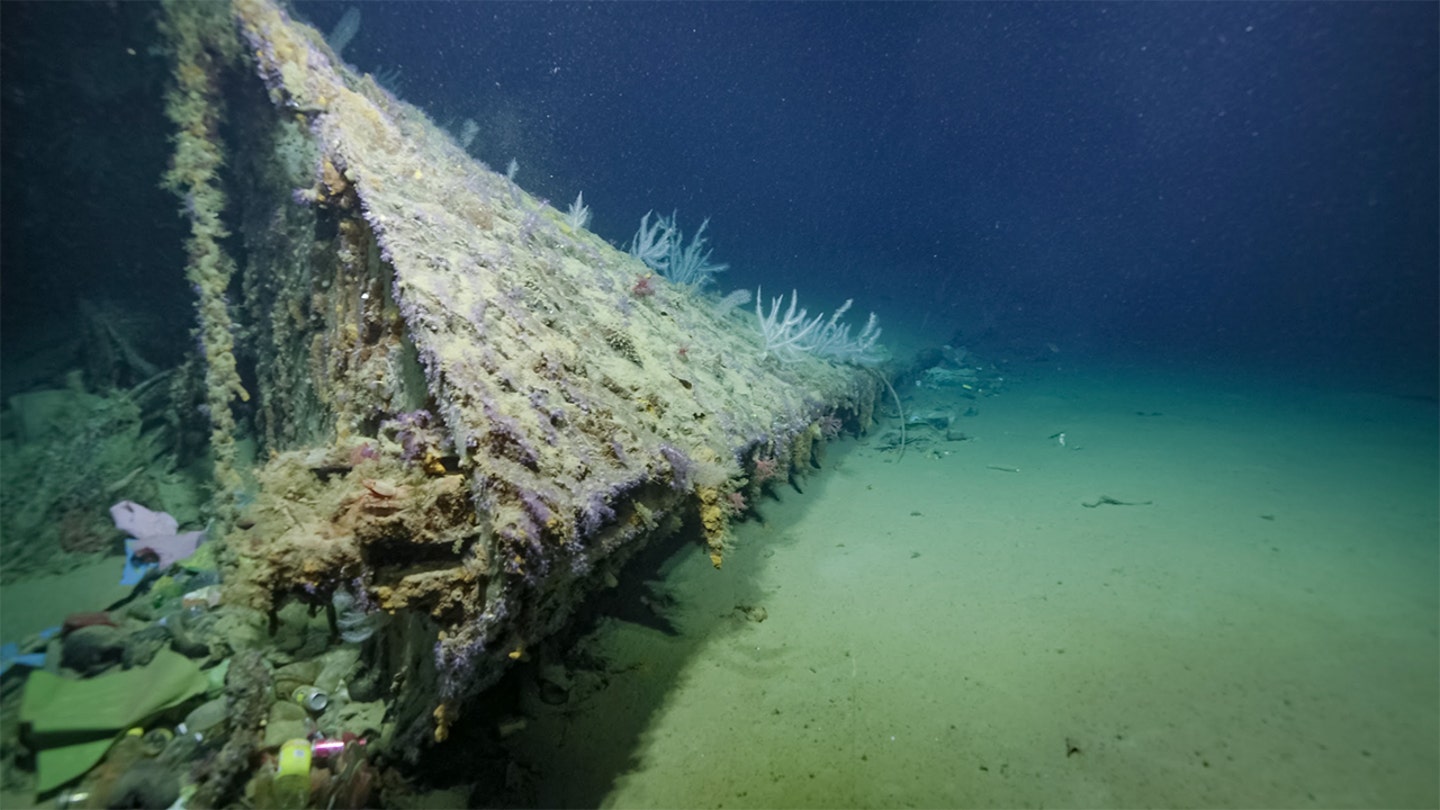 WWII American warship's severed bow found 80 years after being blown off in battle