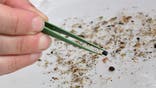A researcher of the CNRS inspects pieces of microplastic collected from the River Rhone in Arles, southern France on April 10, 2025. On the almost crystal-clear Rhône, the inflatable boat cuts through the morning mist. On board, CNRS scientists and volunteers are tirelessly casting and removing two floating nets. They want to understand how microplastics scattered in the river's pollution interact with living organisms. For an entire day, AFP followed the scientific team on the Rhone, which is financially supported by the Kresk 4 Oceans endowment fund and accompanied by the NGO "Expedition 7th Continent", named after the oceanic accumulation of plastic. (Photo by Christophe SIMON / AFP) (Photo by CHRISTOPHE SIMON/AFP via Getty Images)