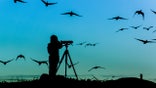 For serious birders, the right gear can make all the difference. Shop must-have birdwatching cameras, state-of-the-art binoculars and other essential tech to enhance your avian observations.