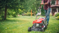 Amazon Prime Day: Get up to 50% off lawn equipment - Fox News
