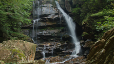 Woman dies after falling at least 75 feet while hiking in North Carolina