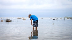 Death confirmed from rare and deadly 'brain-eating amoeba' in southern lake
