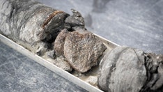 Museum discovers rare 67-million-year-old dinosaur bone under its own parking lot