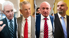 Republicans praise 'big, beautiful bill’s' work requirement for Medicaid: ‘We’ve got to get back to work’