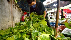 Deadly substance under scrutiny as kratom byproduct shows up in gas stations, smoke shops