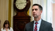 Senate Republican moves to give US an edge on China in harvesting minerals for weapons systems