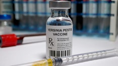 Scientists crack the code on new vaccine for deadly plague bacteria