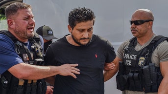 Airplane hijacker is among criminal aliens nabbed in Houston ICE sweep - Fox News