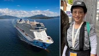 Tourist who vanished from Norwegian cruise ship found below mountain ridge - Fox News