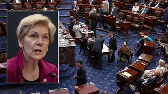 Bipartisan moment unfolds as Warren falls backwards during crucial Israel vote - Fox News