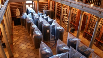 Massive bug infestation puts library filled with historic and rare books in jeopardy - Fox News