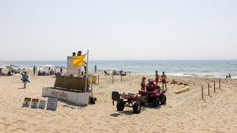 Shark dragged on shore in bloody attack at affluent tourist destination - Fox News