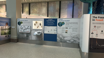 Parent discovers 'indoctrination' at taxpayer-funded Smithsonian exhibits - Fox News