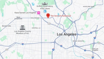 At least 28 injured in Los Angeles after driver rams into crowd, LAFD says - Fox News