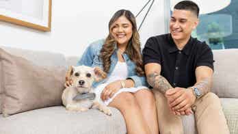 Lost dogs on Fourth of July: How to keep your pet safe