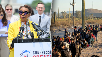 Immigrants needed for ‘redistricting purposes,' House Dem admits in viral clip: ‘Quiet part out loud’