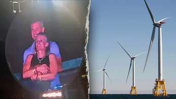 GOP posts Coldplay meme to troll Delaware Dems' green energy scheme