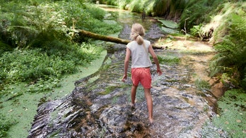 Higher cancer rates linked to WWII radioactive waste in Midwestern creek