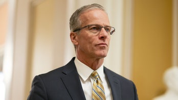 Senate majority leader says Republicans ready to move on Russia sanctions bill when Trump gives green light