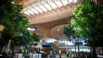 Nature views, therapy llamas and 'impeccable' bathrooms give boost to 'best' airports