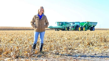 House Republican introduces companion bill to end China's buying of American farmland