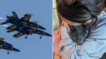 Seattle woman takes Navy's Blue Angels to court over social media censorship and 'acoustic torture' of cat
