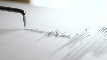 Your phone predicts an earthquake