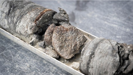 Museum discovers rare 67-million-year-old dinosaur bone under its own parking lot