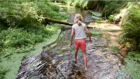 Higher cancer rates linked to WWII radioactive waste in Midwestern creek