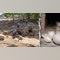 Italian archaeologists unveil rare 2,600-year-old tomb untouched by looters: 'Doorway to our ancestors'