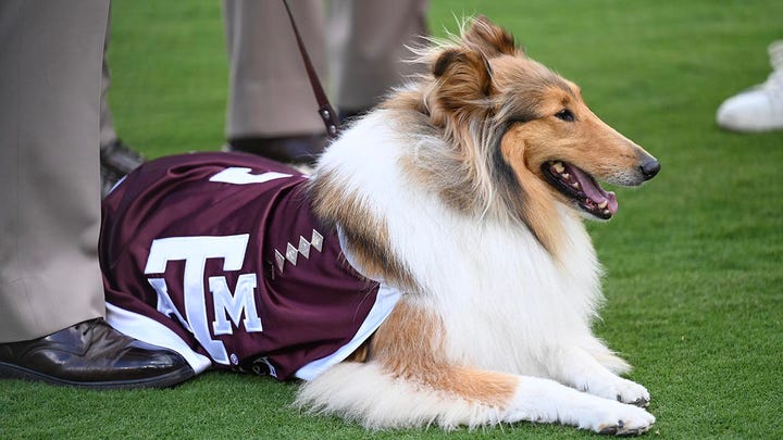 Titulares deportivos principales Fox News para el 23 de julio