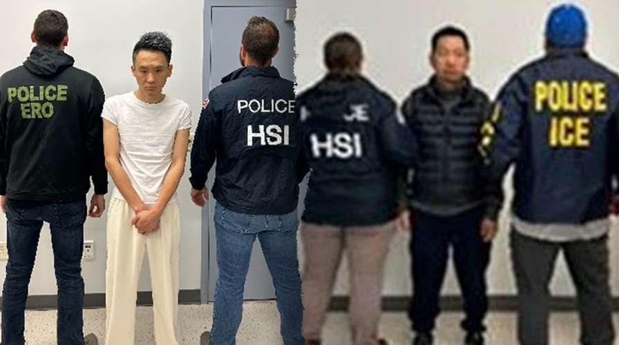 Over 360 illegal migrants arrested in massive ICE raid at California pot farm