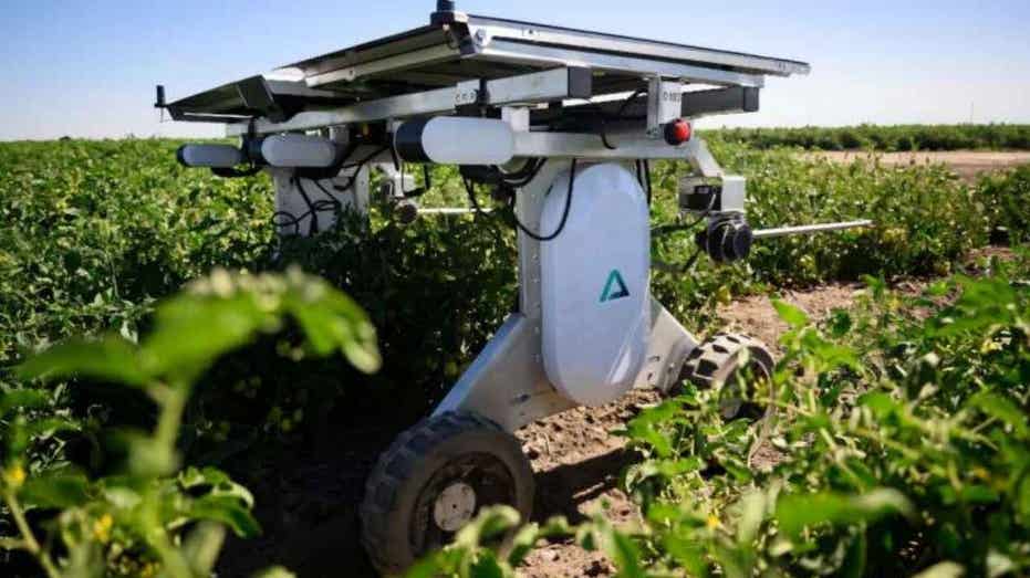 Solar-powered robot zaps weeds without chemicals