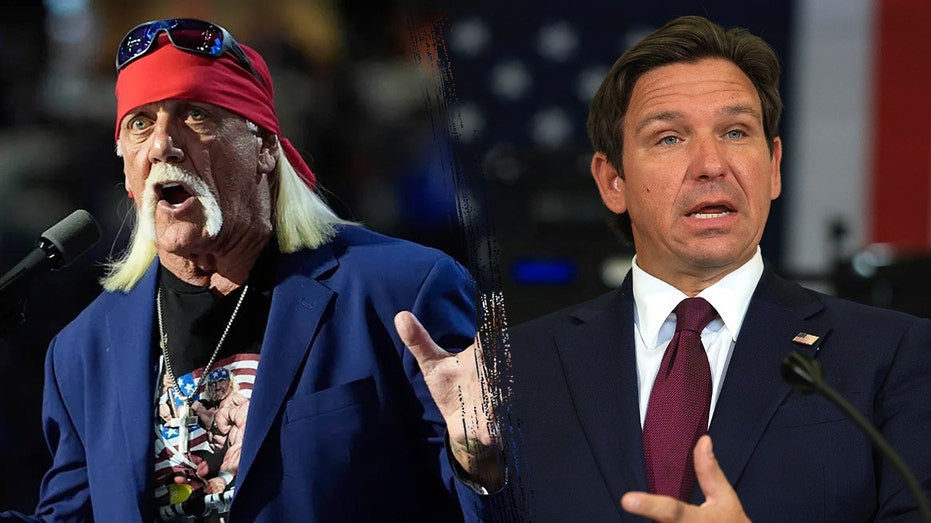 Heckler hijacks Florida governor’s Hulk Hogan tribute with profane tirade against ‘Alligator Alcatraz’