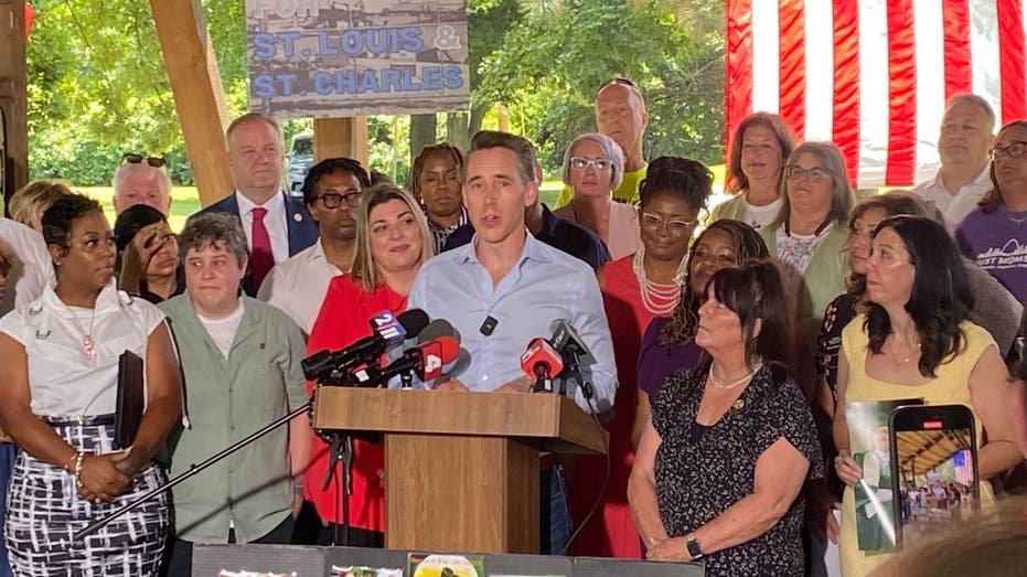 Hawley rebukes Democrats’ heated rhetoric after attacks on ICE, border patrol facilities: ‘Knock it off’